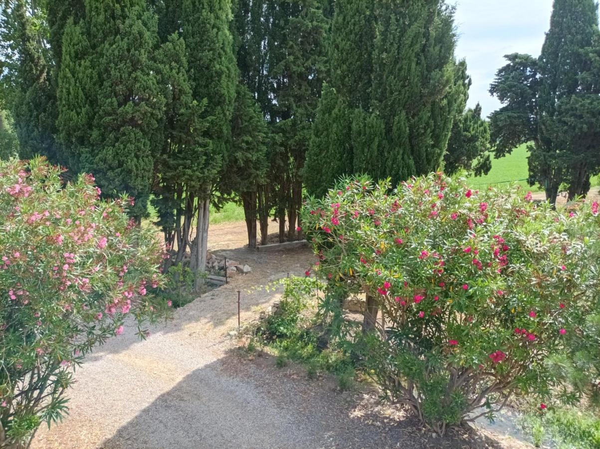 Fontcouverte  Domaine Le Piboul 빌라 외부 사진